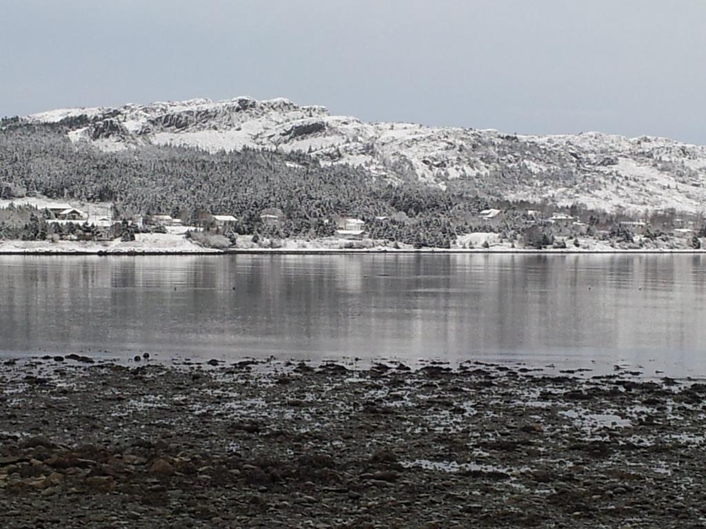 Spaniards Bay The Spaniards Room Heritage Home المظهر الخارجي الصورة