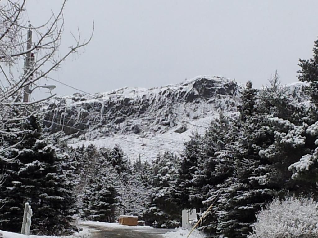 Spaniards Bay The Spaniards Room Heritage Home المظهر الخارجي الصورة