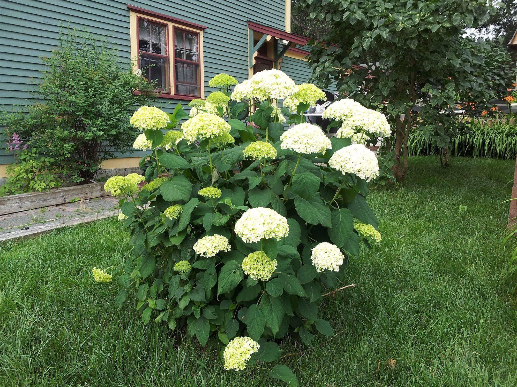 Spaniards Bay The Spaniards Room Heritage Home المظهر الخارجي الصورة